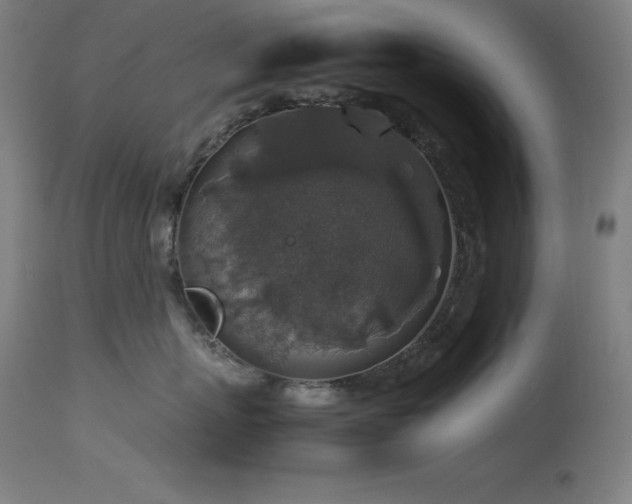 X0000114170767200910081522