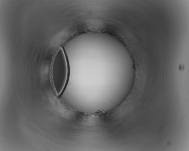 X0000114170768200910081522