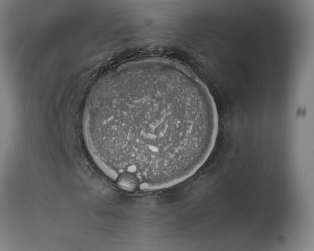 X0000114170769200910081522