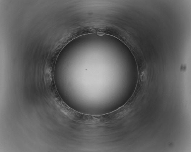 X0000114170772200910081522