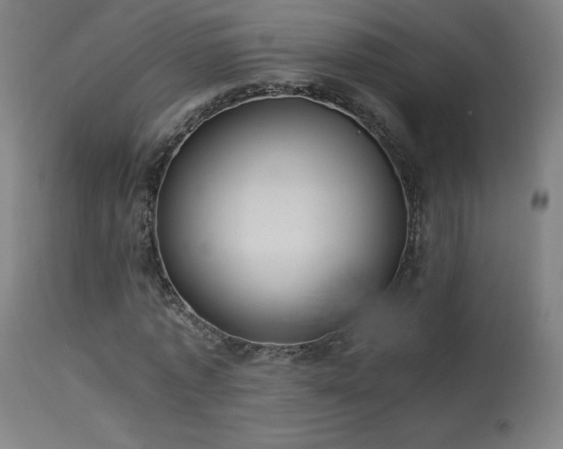 X0000114170773200910081522