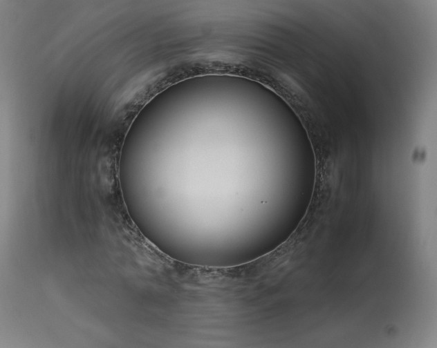 X0000114170774200910081521