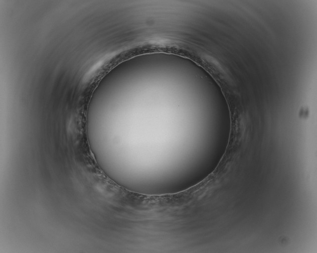 X0000114170776200910081521