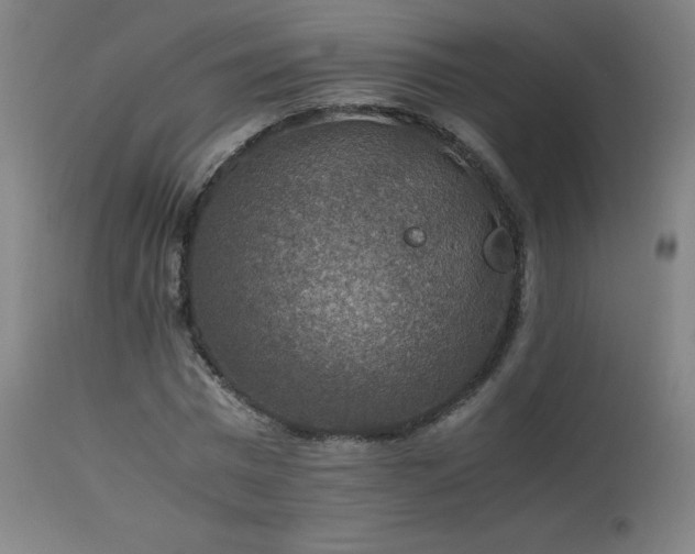 X0000114170777200910081521