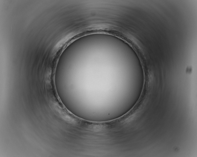 X0000114170778200910081521