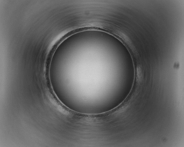 X0000114170780200910081521