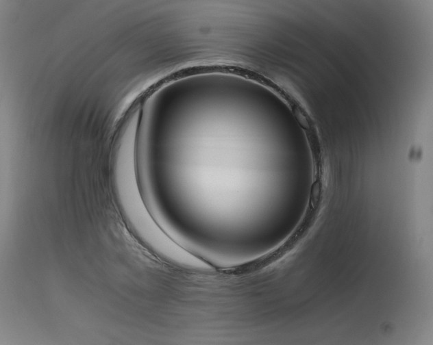 X0000114170781200910081521