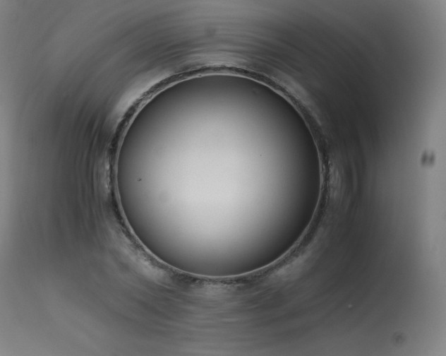 X0000114170782200910081521