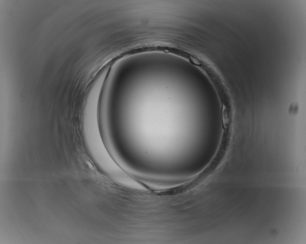 X0000114170785200910081521