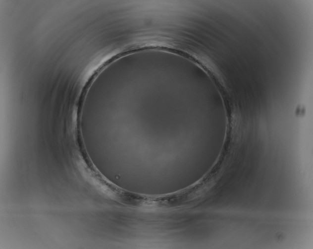 X0000114170790200910081521