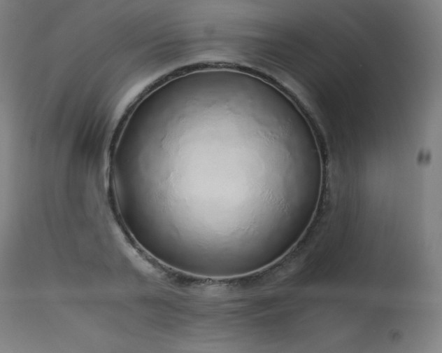 X0000114170791200910081521