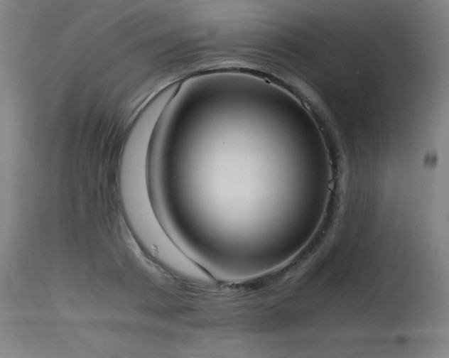 X0000114170793200910081521