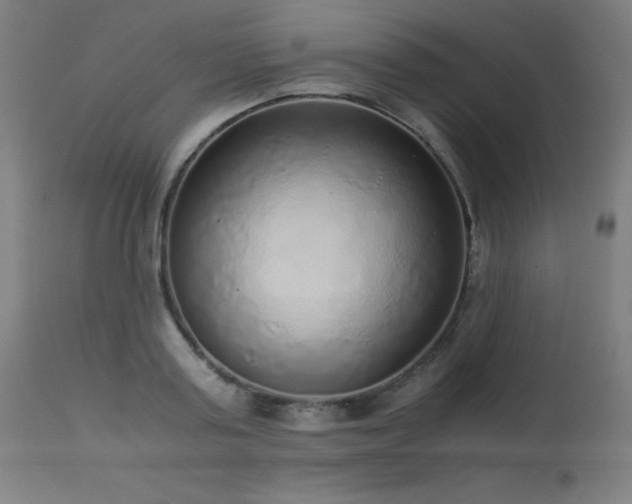 X0000114170795200910081521