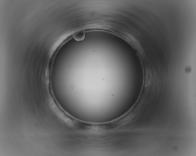 X0000114170796200910081521