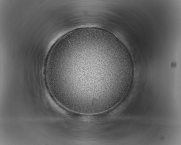 X0000114170797200910081521