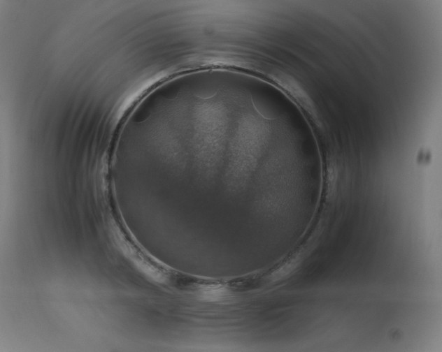 X0000114170798200910081521