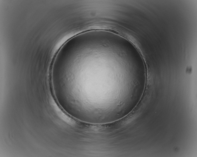 X0000114170803200910081521
