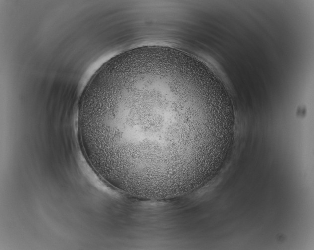 X0000114170804200910081521