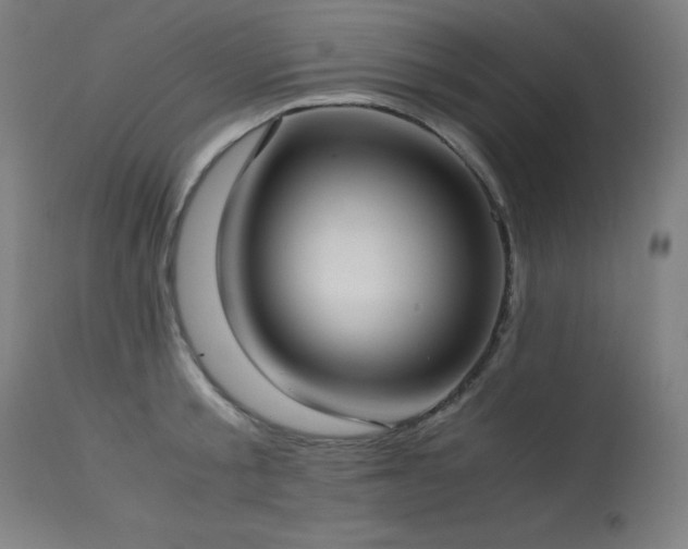 X0000114170805200910081521