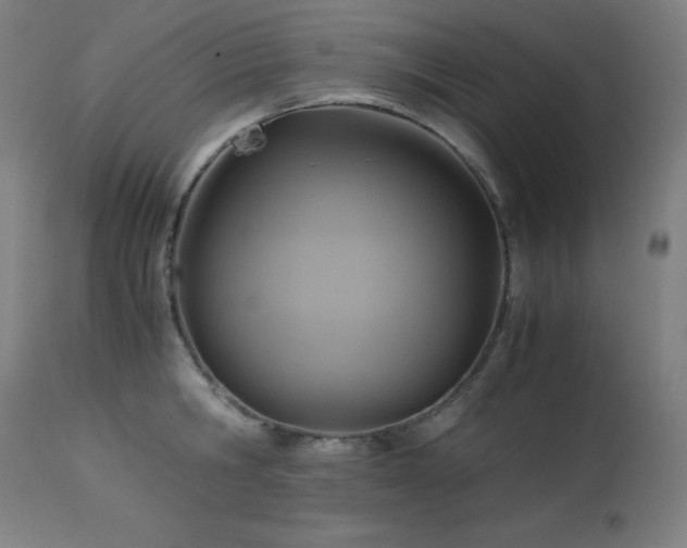 X0000114170806200910081521