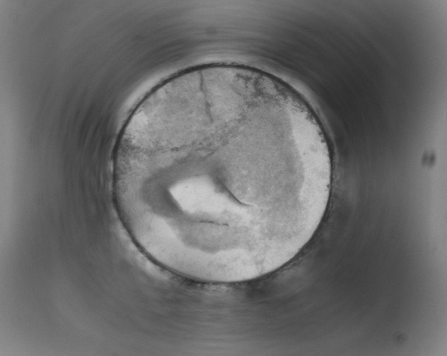 X0000114170807200910081521