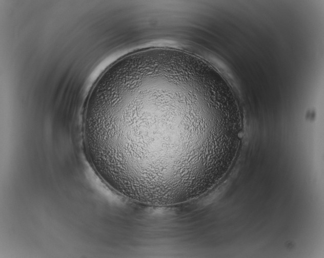 X0000114170808200910081521