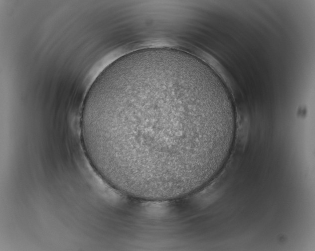 X0000114170810200910081521