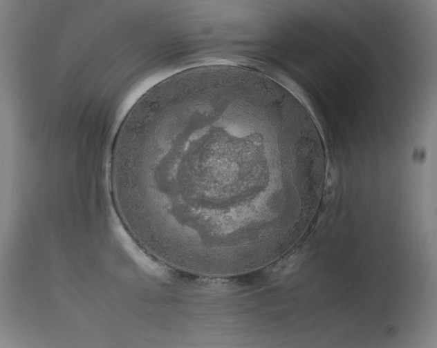 X0000114170811200910081521