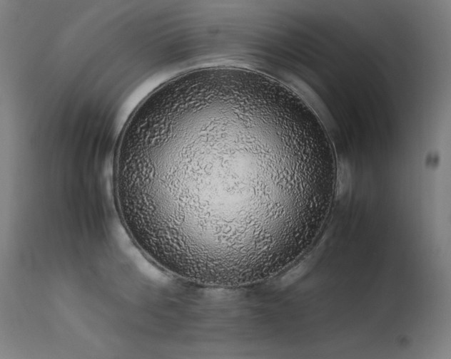 X0000114170812200910081521