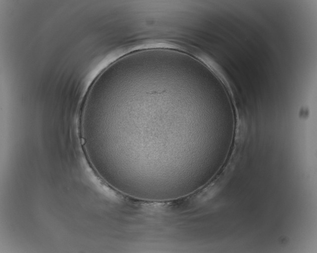 X0000114170813200910081521