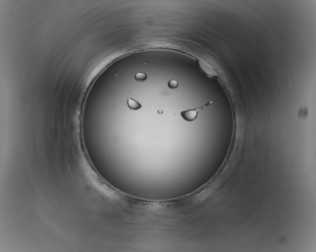 X0000114170814200910081521
