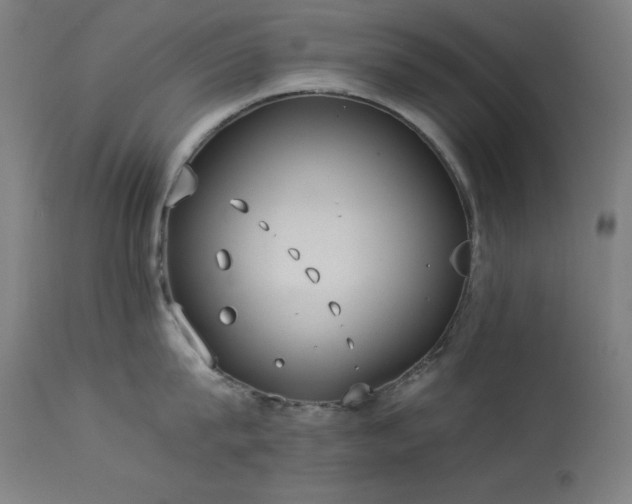 X0000114170815200910081521