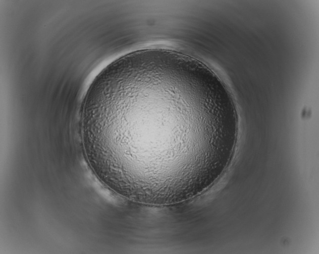 X0000114170816200910081521