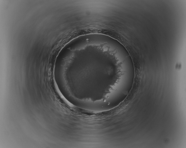 X0000114170818200910081520