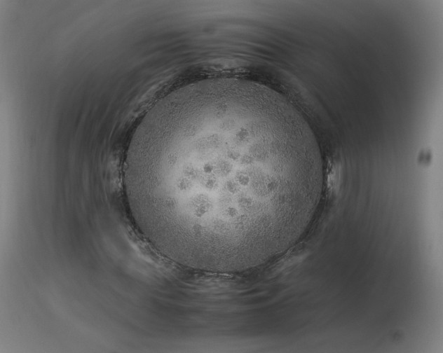 X0000114170819200910081520