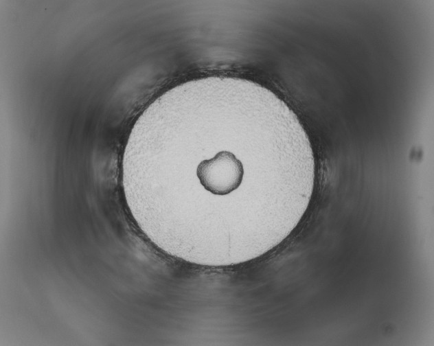 X0000114170820200910081520
