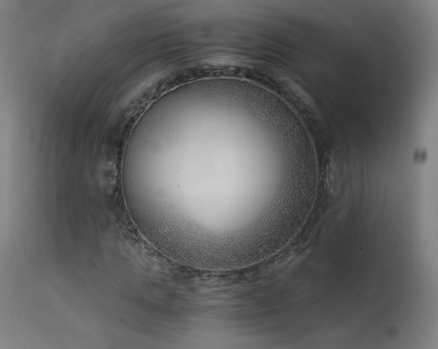 X0000114170821200910081520