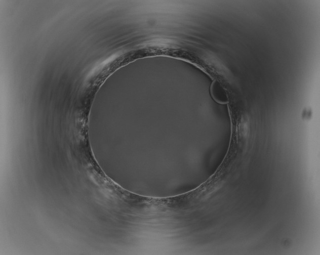 X0000114170822200910081520