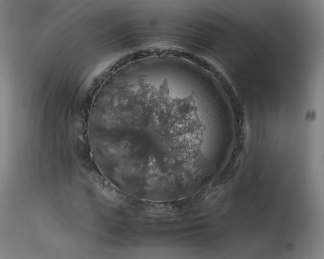 X0000114170823200910081520