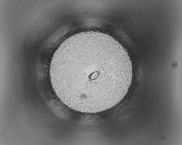X0000114170824200910081520