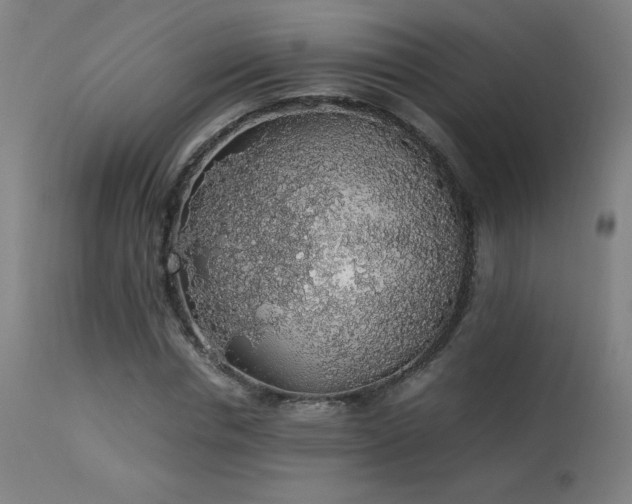 X0000114170826200910081520