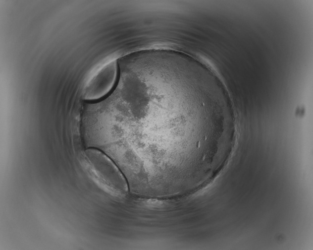 X0000114170827200910081520