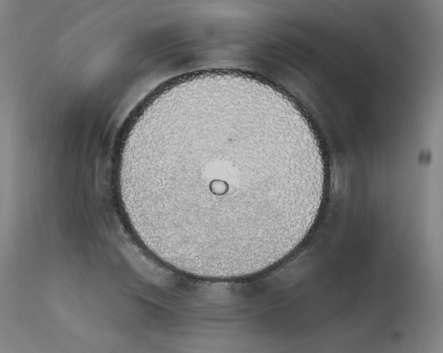 X0000114170828200910081520