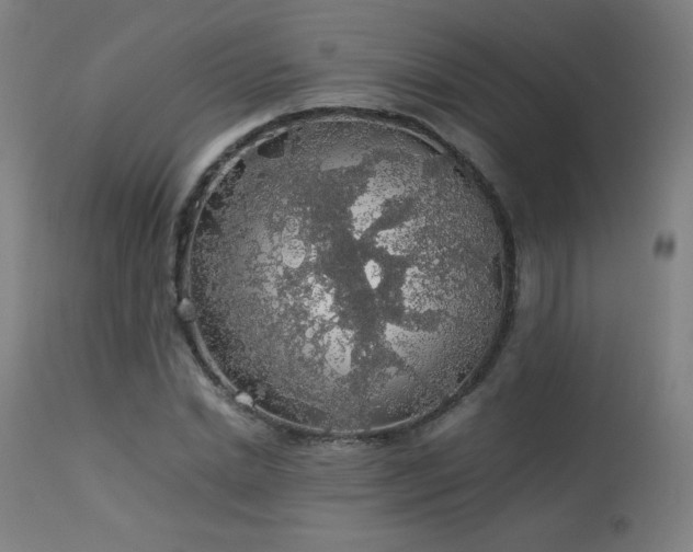 X0000114170830200910081520