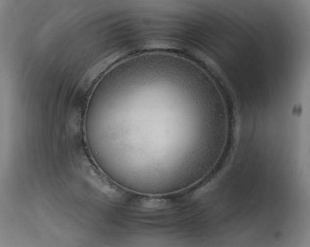 X0000114170833200910081520
