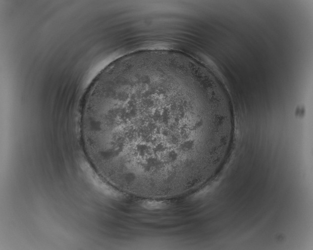 X0000114170835200910081520
