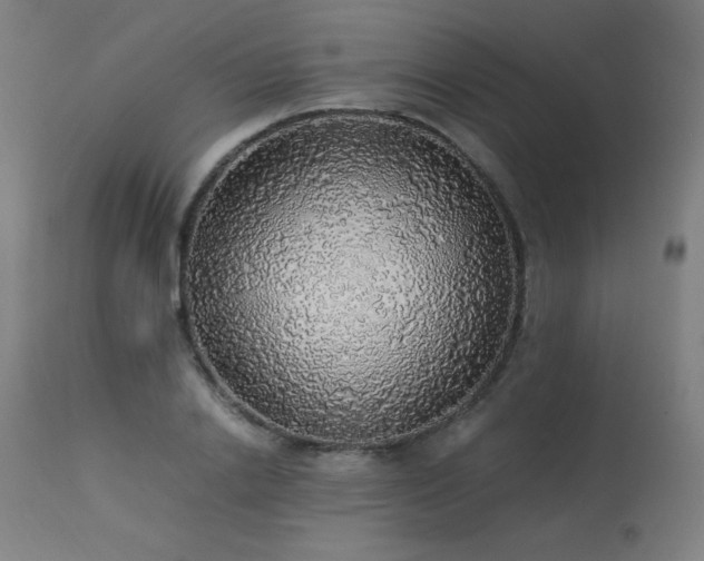 X0000114170838200910081520