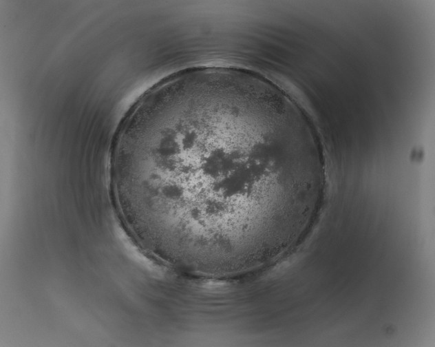 X0000114170839200910081520