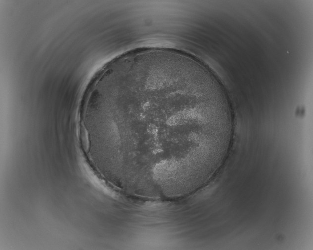 X0000114170840200910081520