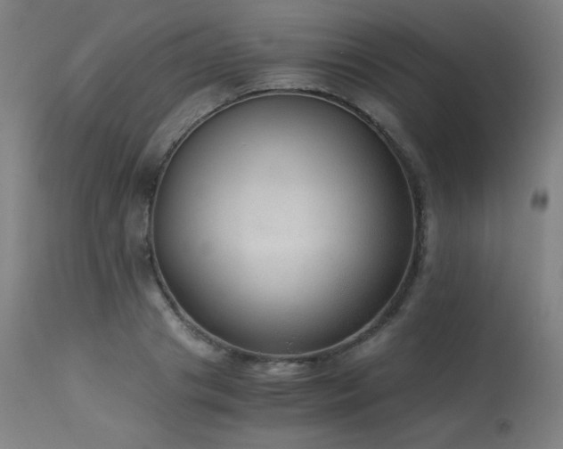 X0000114170841200910081520
